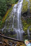 Proxy falls